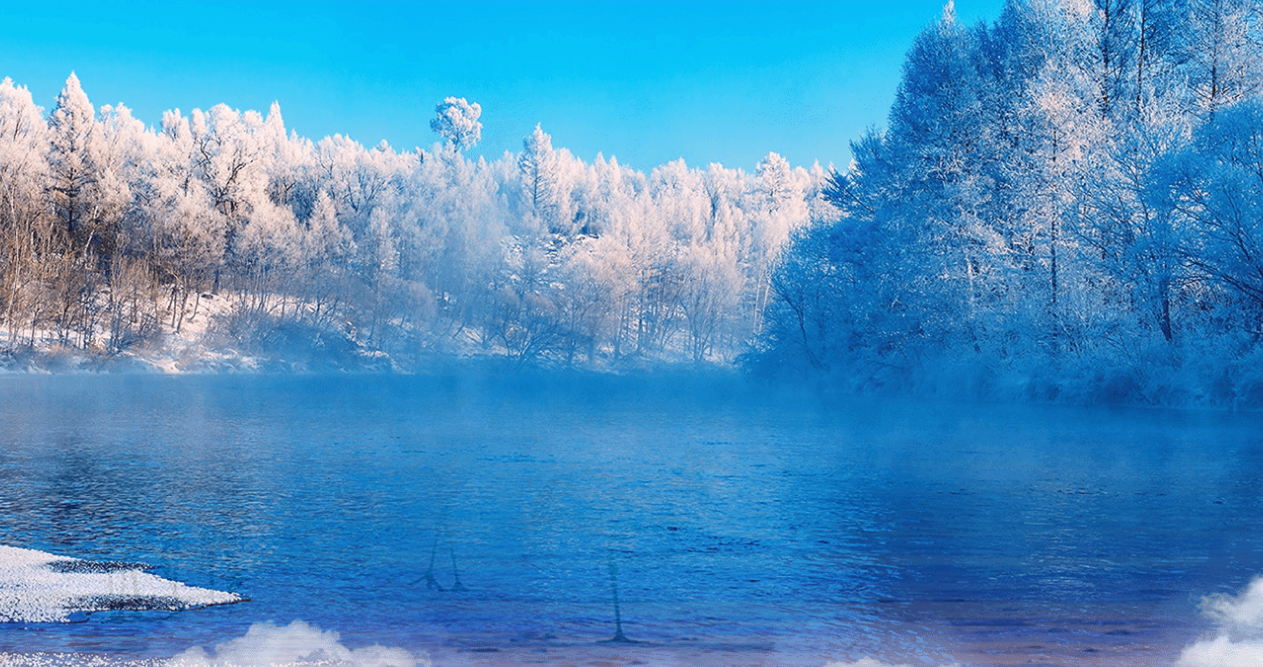 图源：黑龙江省人民政府官网