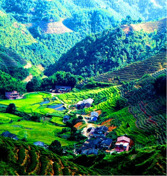 安溪山地梯田茶园