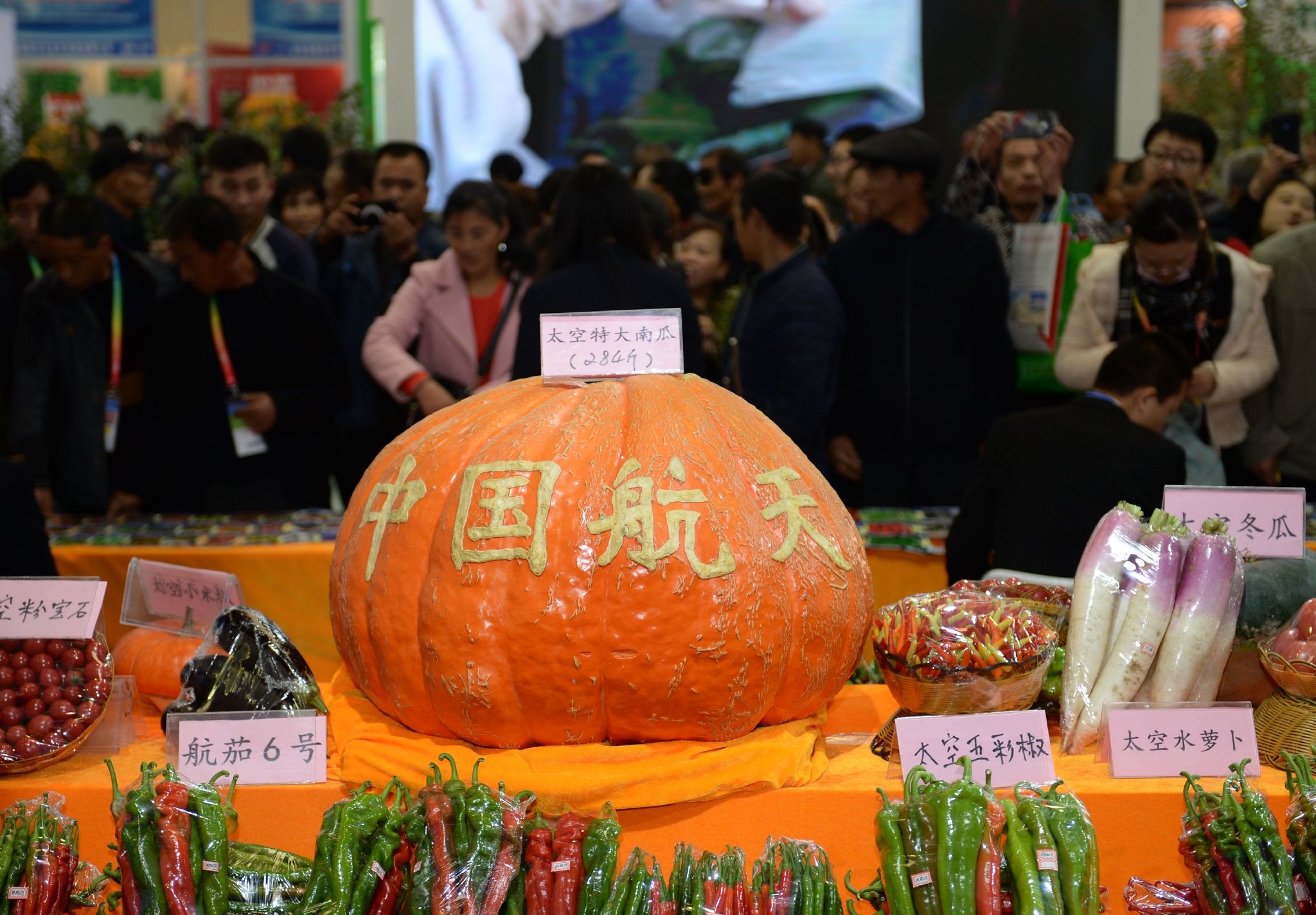 杨凌农高会上展出的太空育种成果.(新华社发)