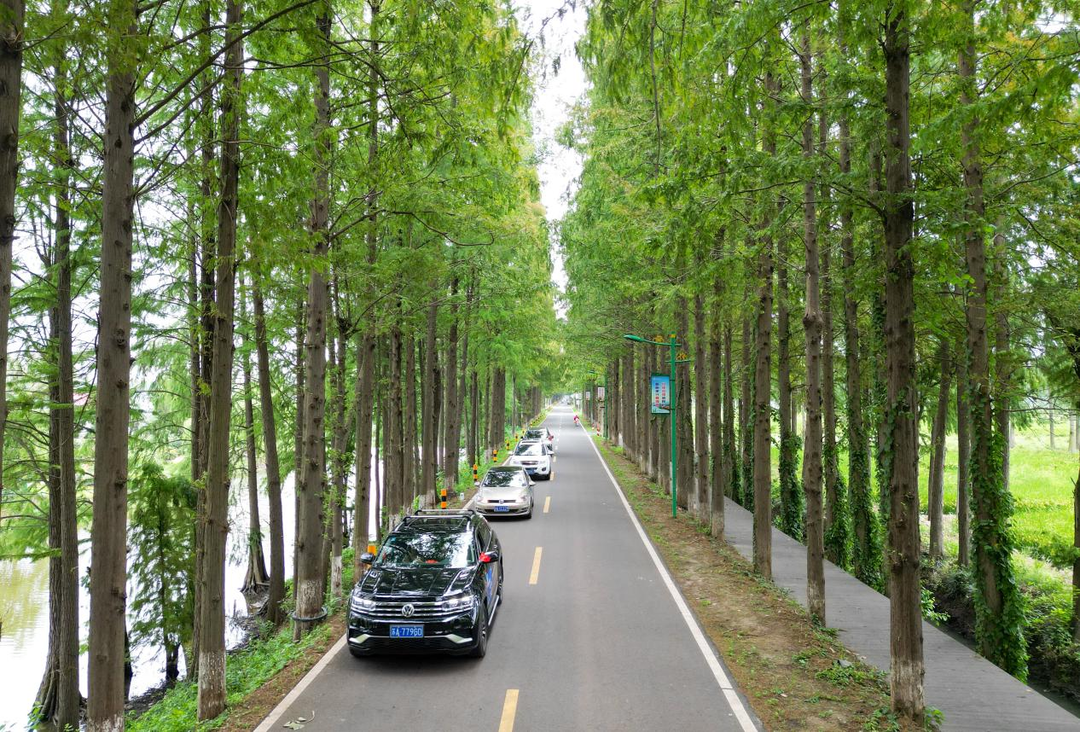 "驾游安徽 自在岭上" 2024年滁州市江淮分水岭风景道自驾游大会开幕