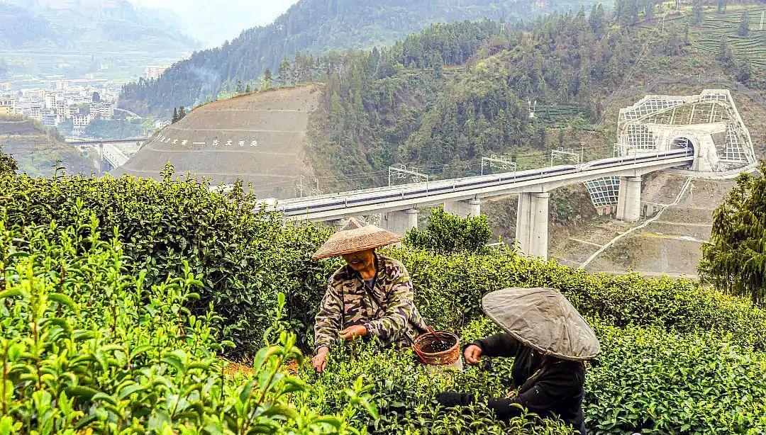 当列车与祖国大美河山"喜相逢"