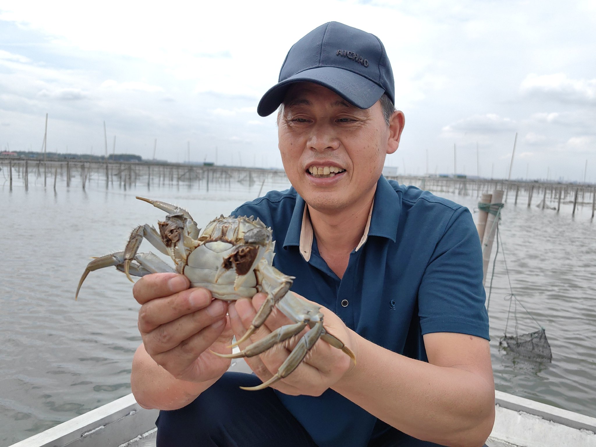 阳澄湖大闸蟹开捕，预计总产量9900吨！最佳品尝期在国庆长假后-阳澄湖大闸蟹开捕节2021年