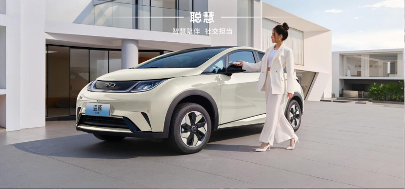 比亚迪海豚；图片来源：比亚迪