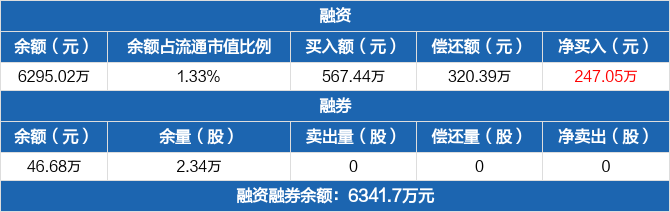 圣龙股份历史融资融券数据一览