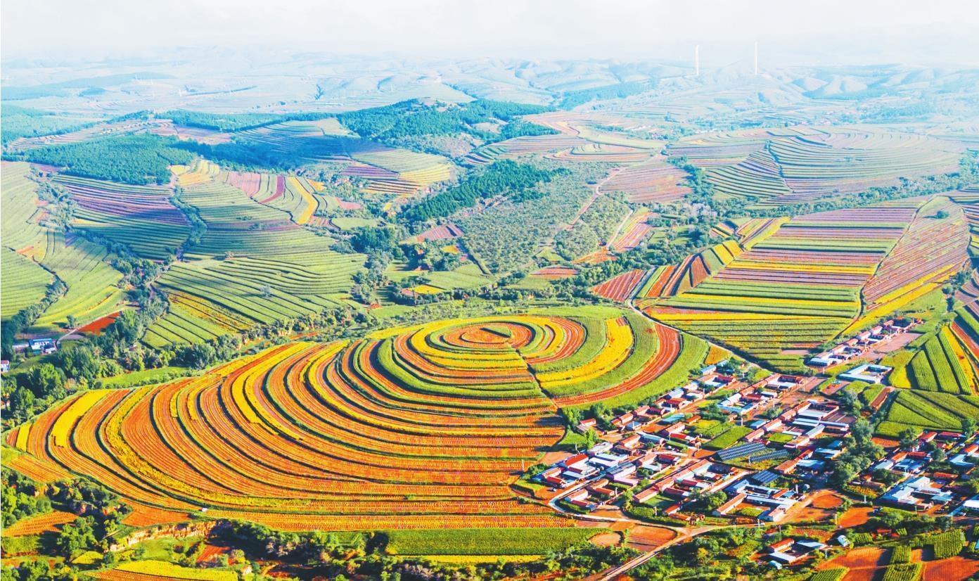 本版图片由建平县委宣传部提供