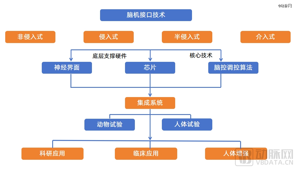 图1.脑机接口系统逻辑