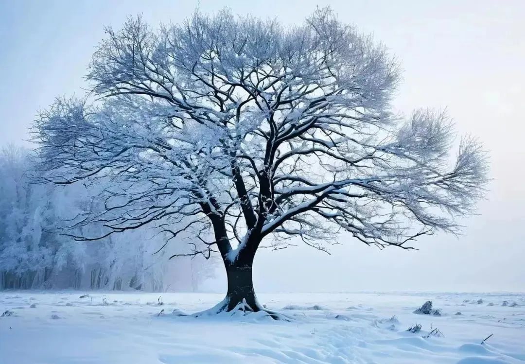 AI作图，by娱乐资本论