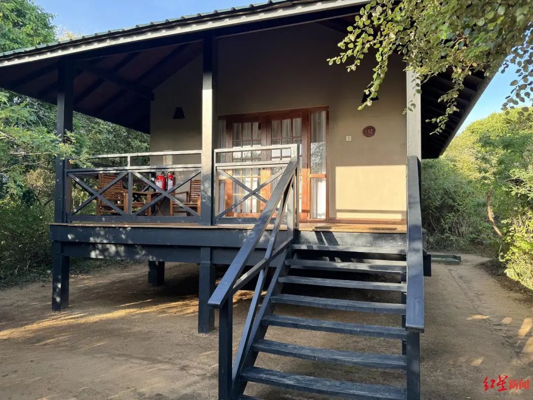 中国母女斯里兰卡旅游遭入室抢劫！“一男一女用刀抵住脖子”，当地警方介入