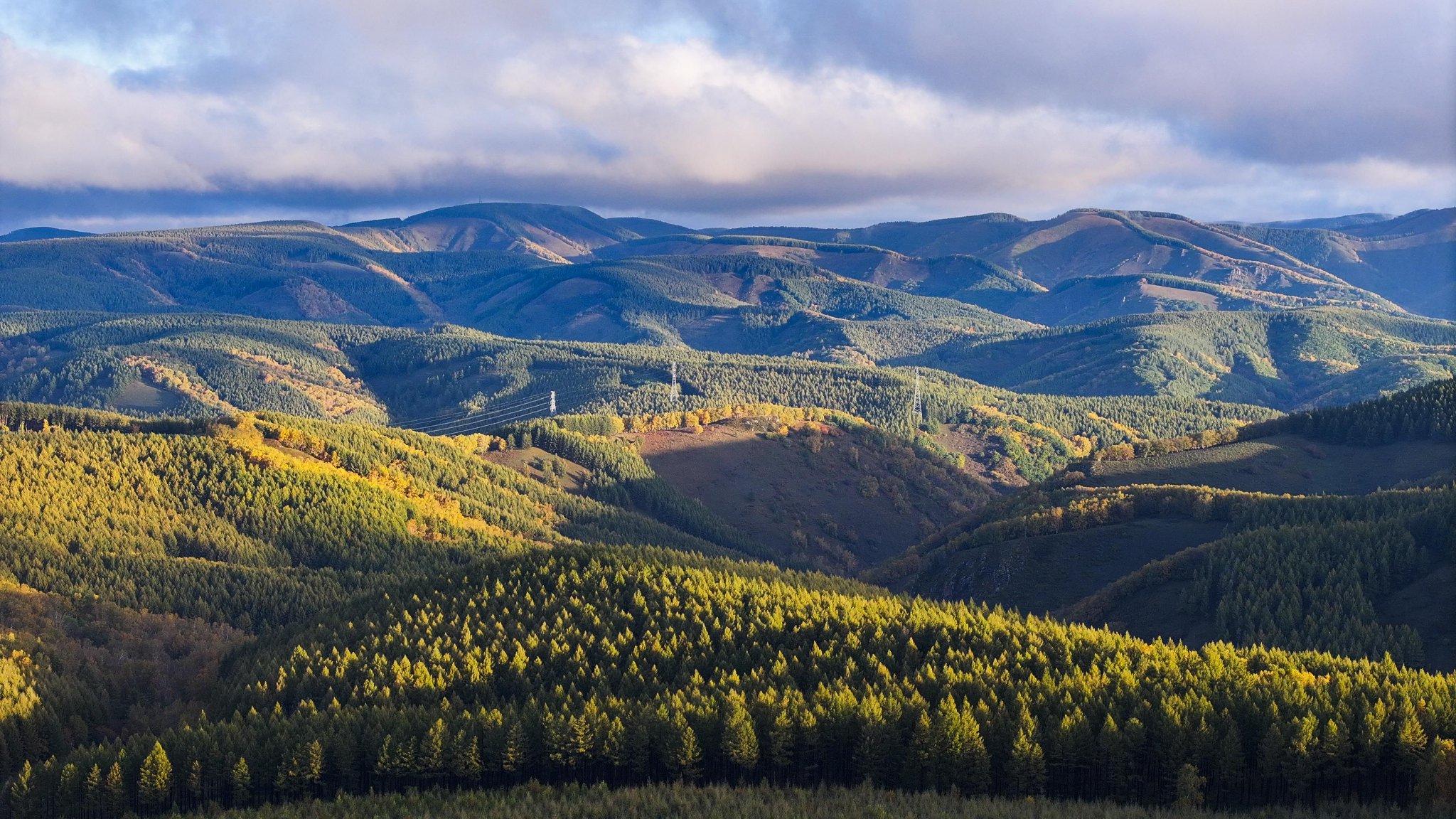 这是9月21日拍摄的塞罕坝国家级自然保护区秋景(无人机照片).