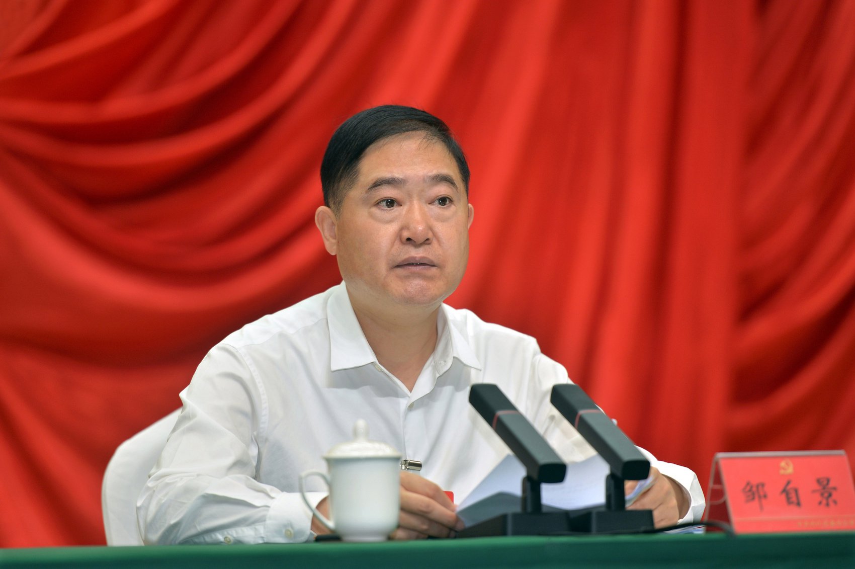 权威访谈·全会精神看落实丨内江市委书记邹自景:以钉钉子精神抓好