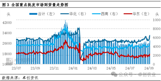 10月份猪价预测分析:上半月价格盘整,下半月跌幅扩大
