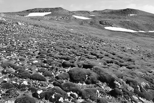 圖片來源：Dan Charman