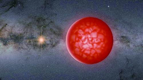 鐘嘉欣、首個(gè)雙星張?jiān)A供圖