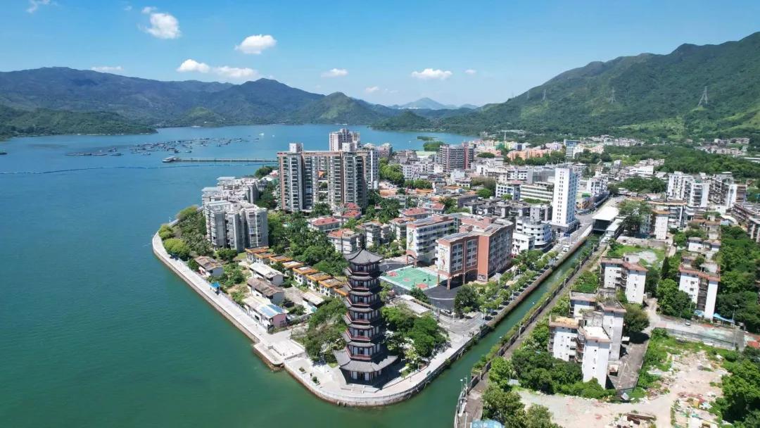 深圳特区报记者 杨普遍 摄