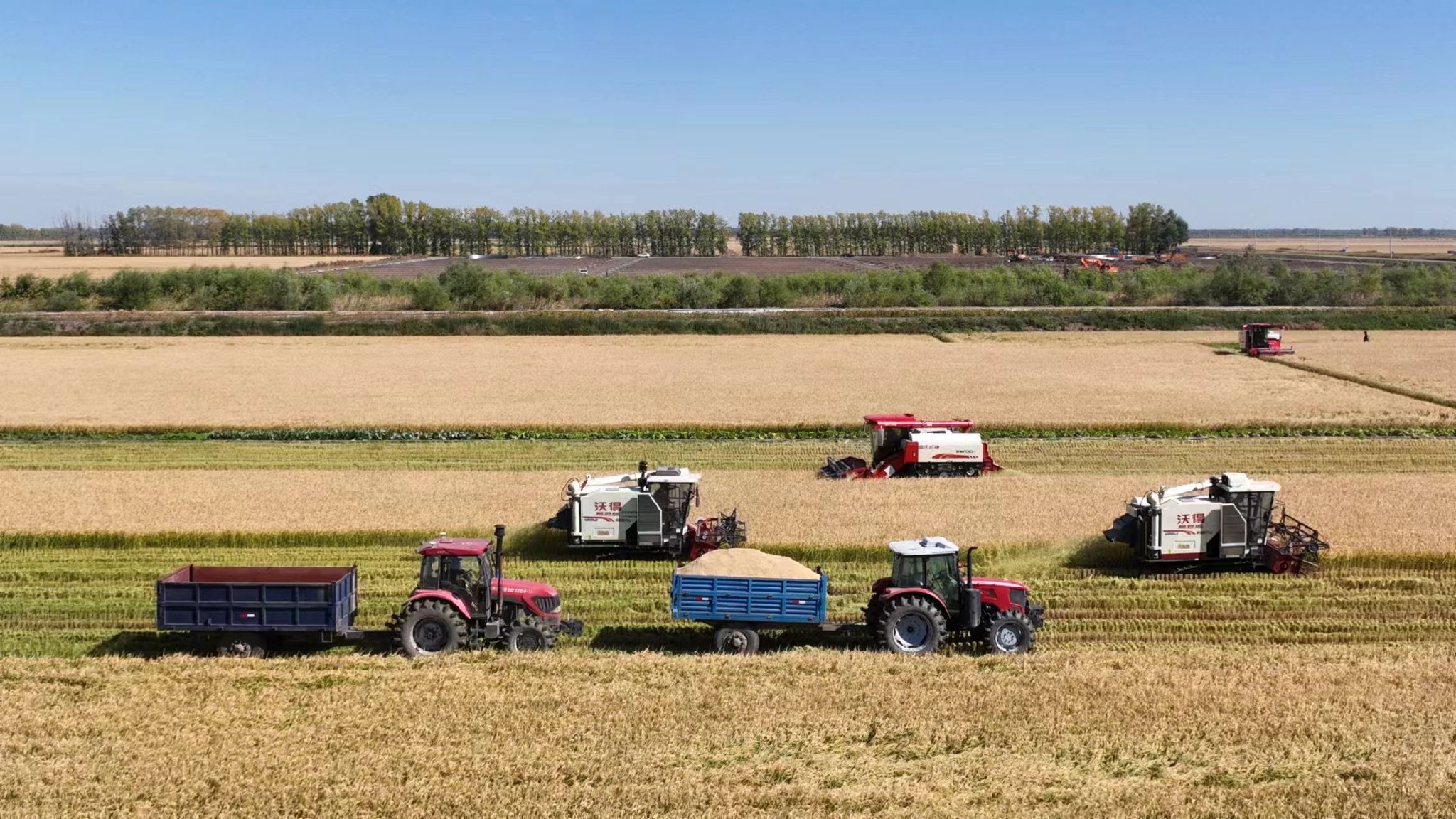 江苏惜败上海，辽宁力克新疆，青岛绝杀广州精巧刹那回忆