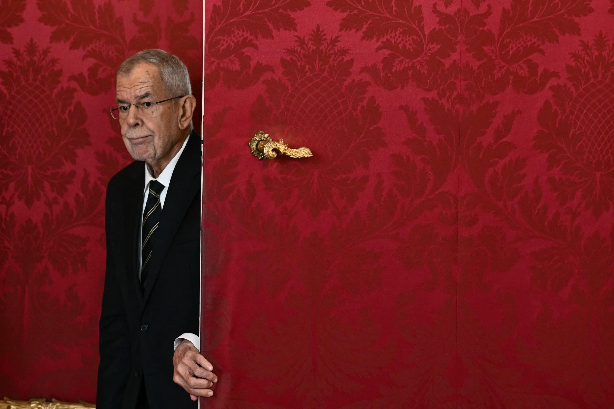 奥地利总统要求尽快组建新政府