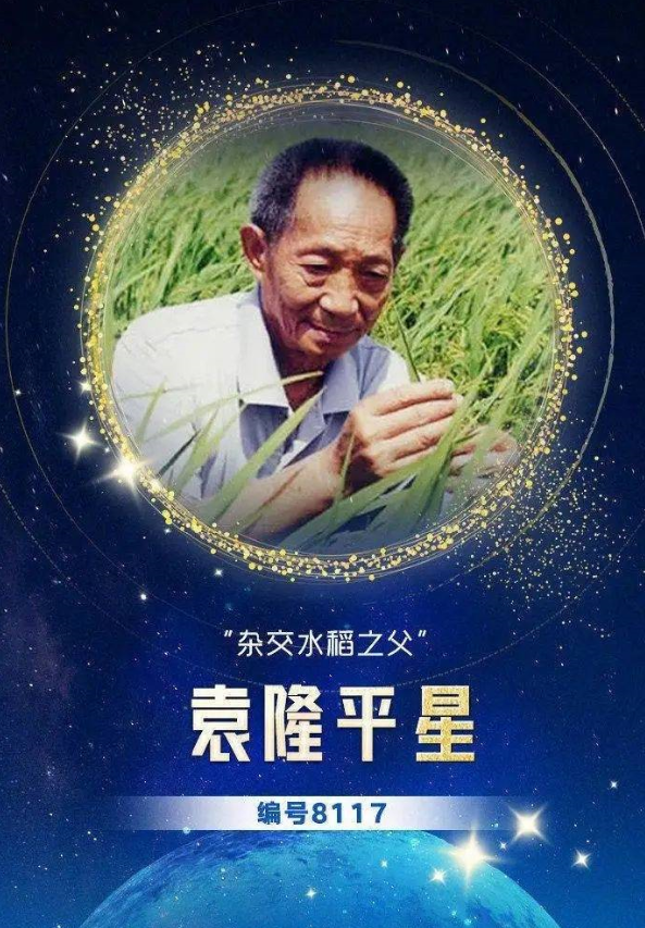 从"一粒种子"到"全球稻香"|袁隆平_新浪财经_新浪网