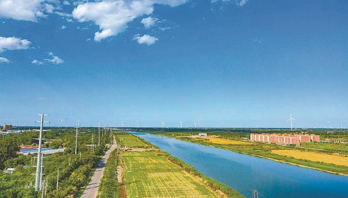 马颊河变"靓"记