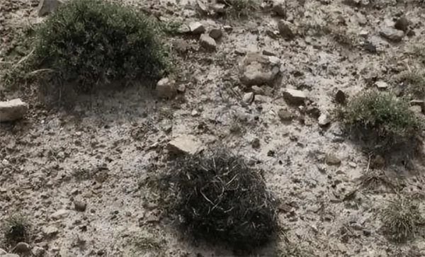 【本文结束】如需转载请务必注明出处：快科技责任编辑：鹿角文章内容举报