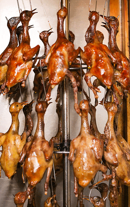 图源：中山发布