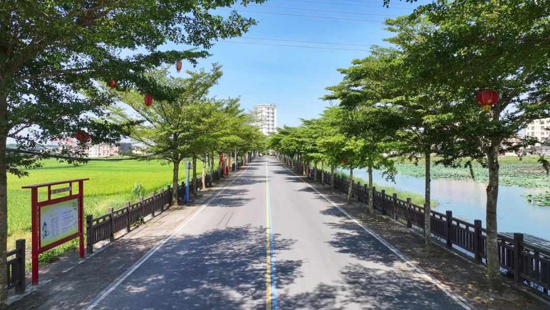 有被惊艳到!平冈镇连景成片,出圈又出片