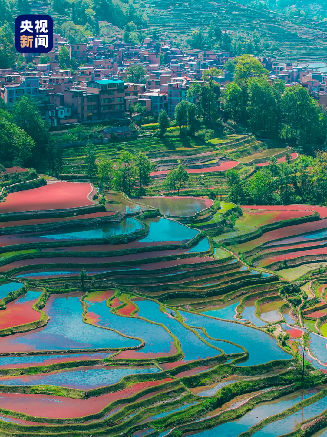 红河哈尼梯田