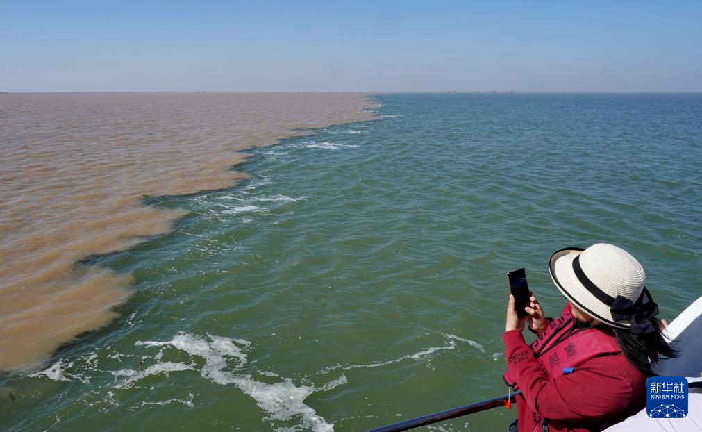 10月11日,人们在观看黄河入海口黄河水与海水形成鲜明颜色对比的独特