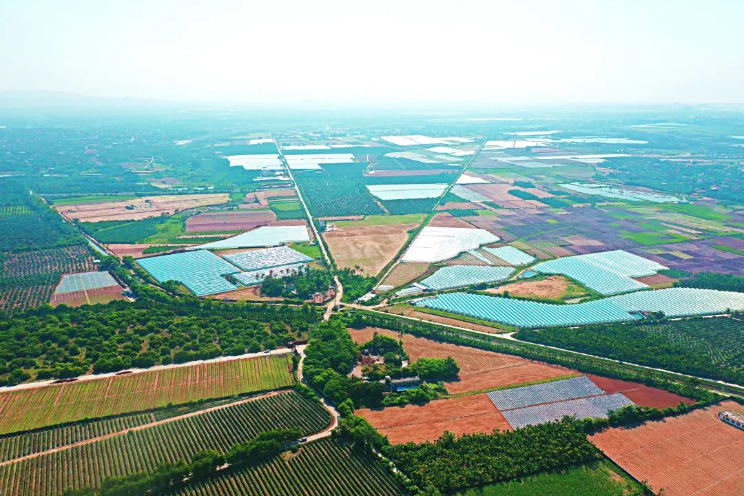 中国能建：助力海南争当新时代改革开放示范
