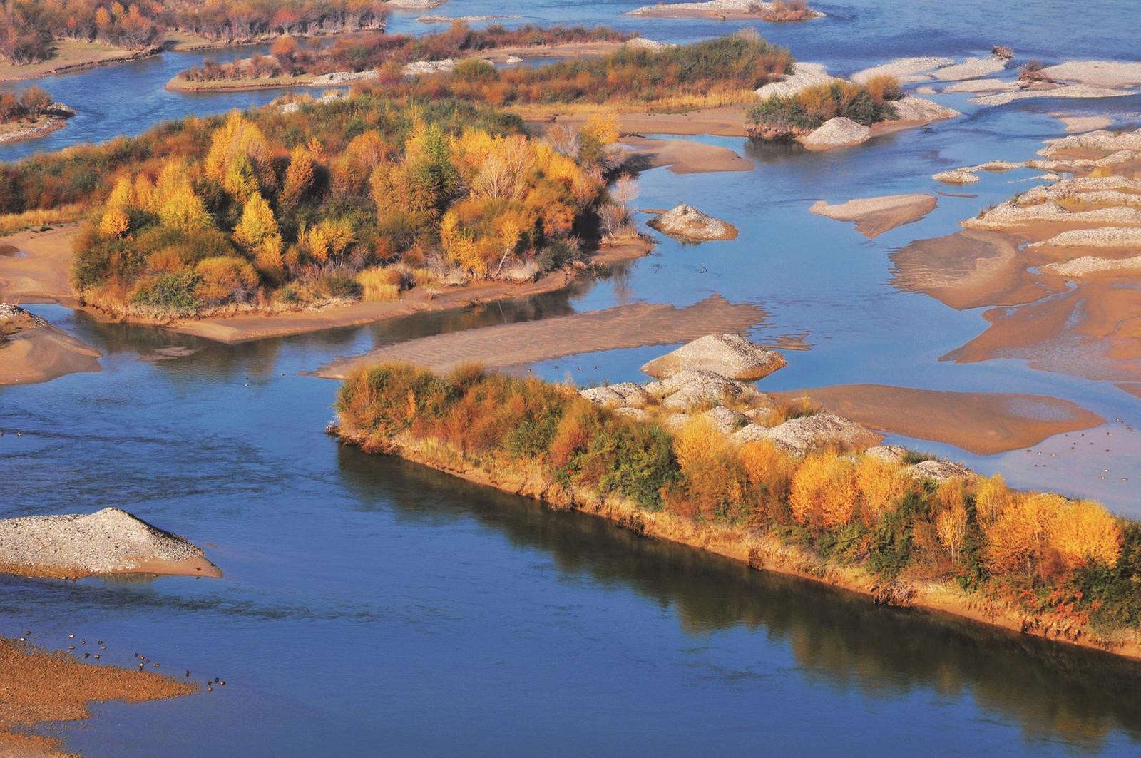秋染黄河贵德清. 省文化和旅游厅供图