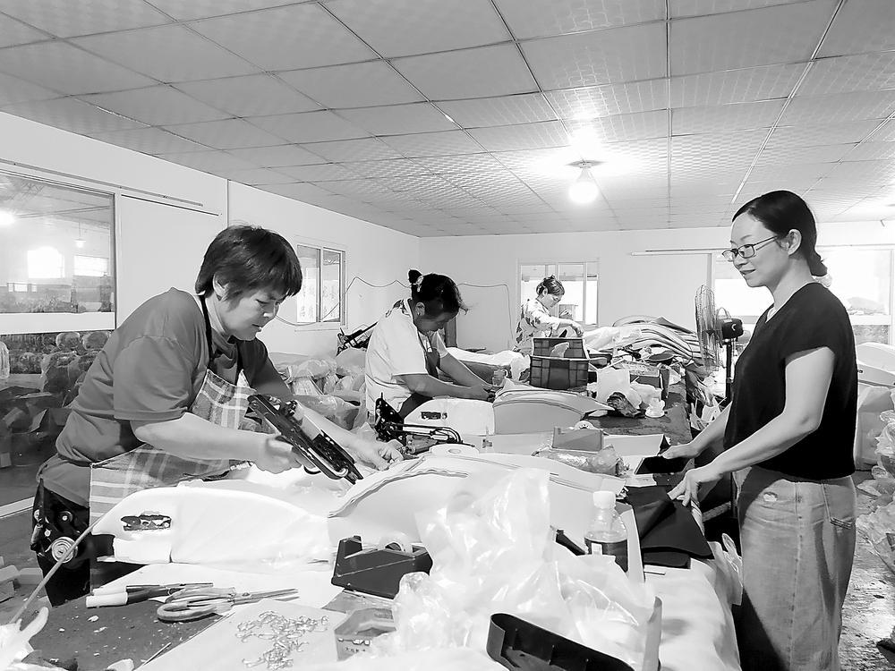 通讯员 秦书奎 摄胡珍丹河南省南阳市唐河县政协委员,南阳市合兴汽摩