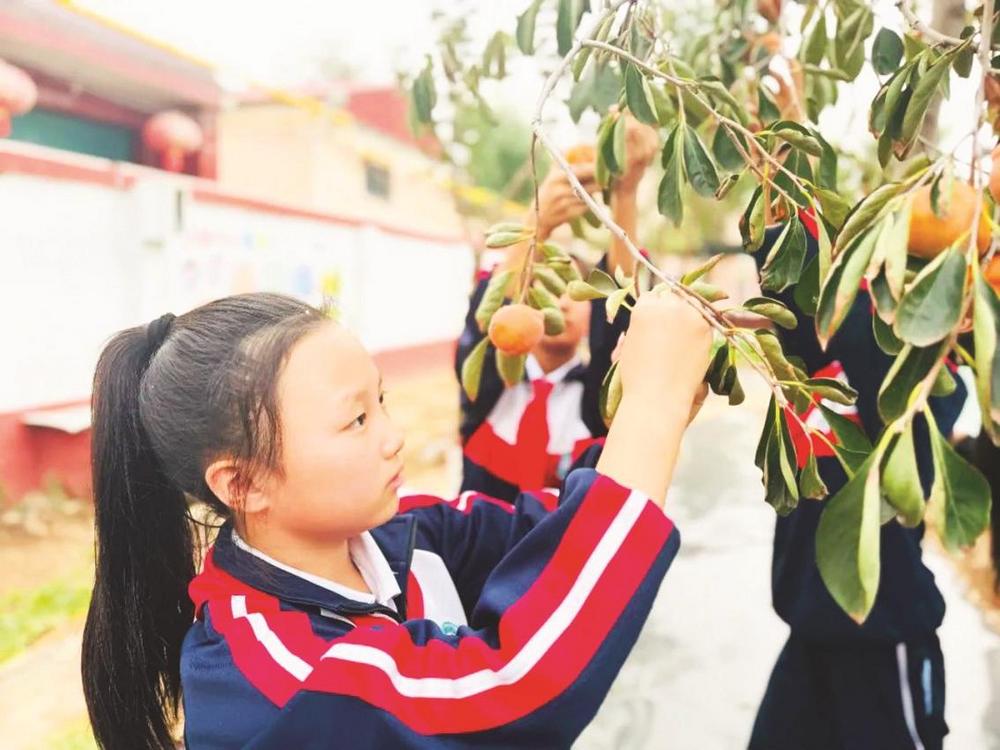 经开区贾口小学开展学生课外实践活动