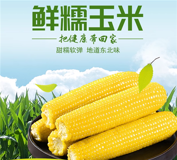 东北种什么一年两茬(东北种什么一年两茬粮食)