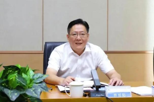 2016年,林旭阳出任武夷山市市长,2017年任武夷山市委书记.