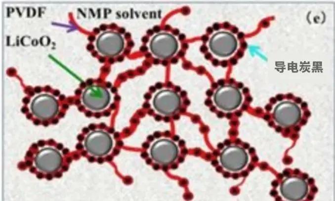 浆料微观结构示意图（PVDF粘结剂为例）