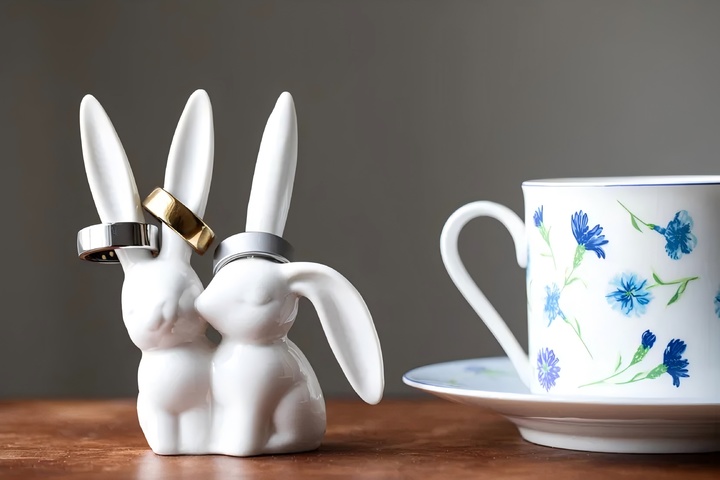 ▲Oura Ring 4（图片来源：The Verge）