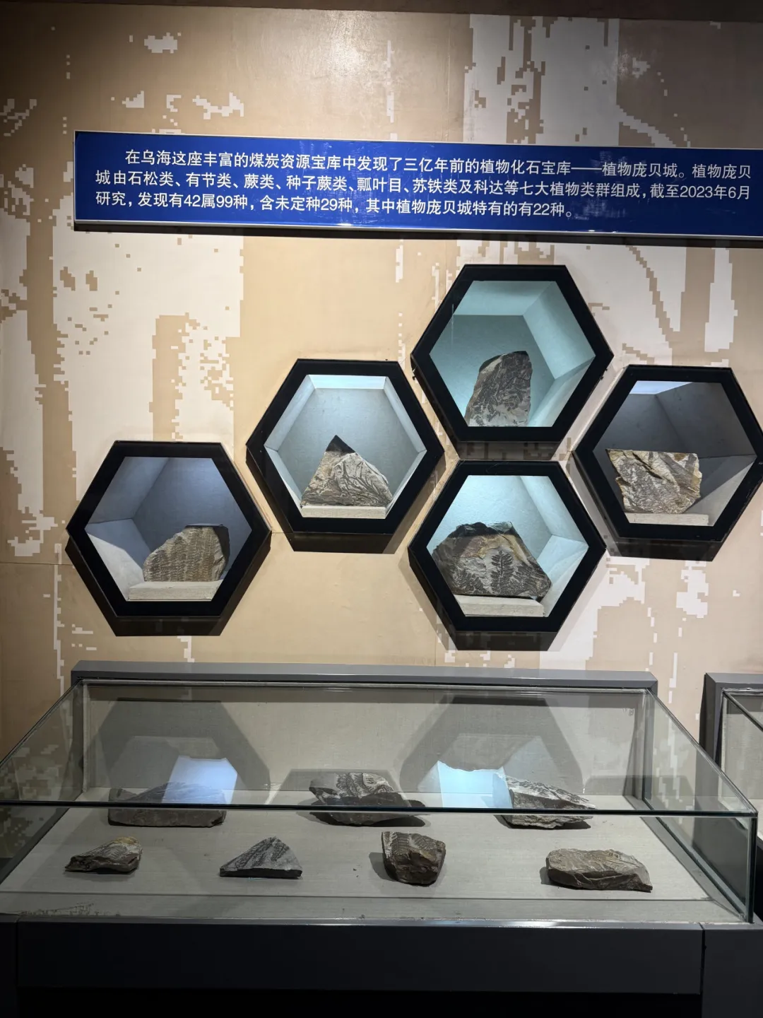 博物馆展品