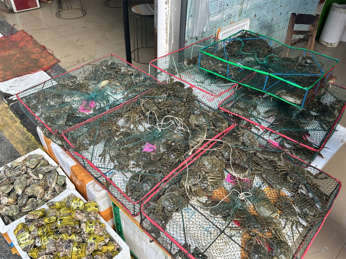 金秋十月肥美大闸蟹大量上市,你尝鲜了吗?