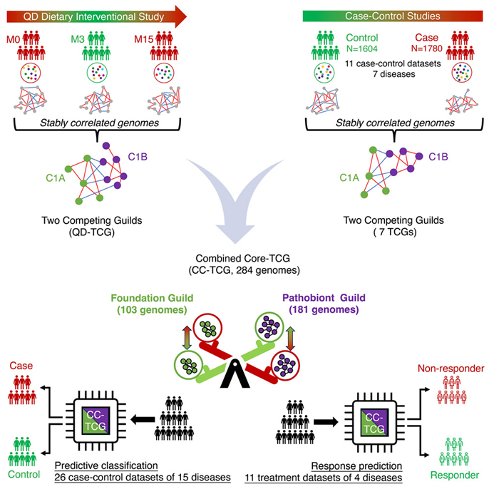 图片来自Cell, 2024, doi:10.1016/j.cell.2024.09.019