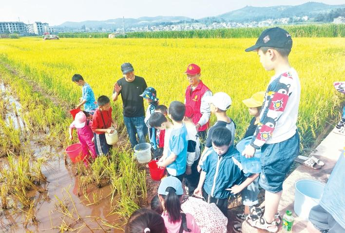 图为老师向孩子们讲解稻田养鱼知识。