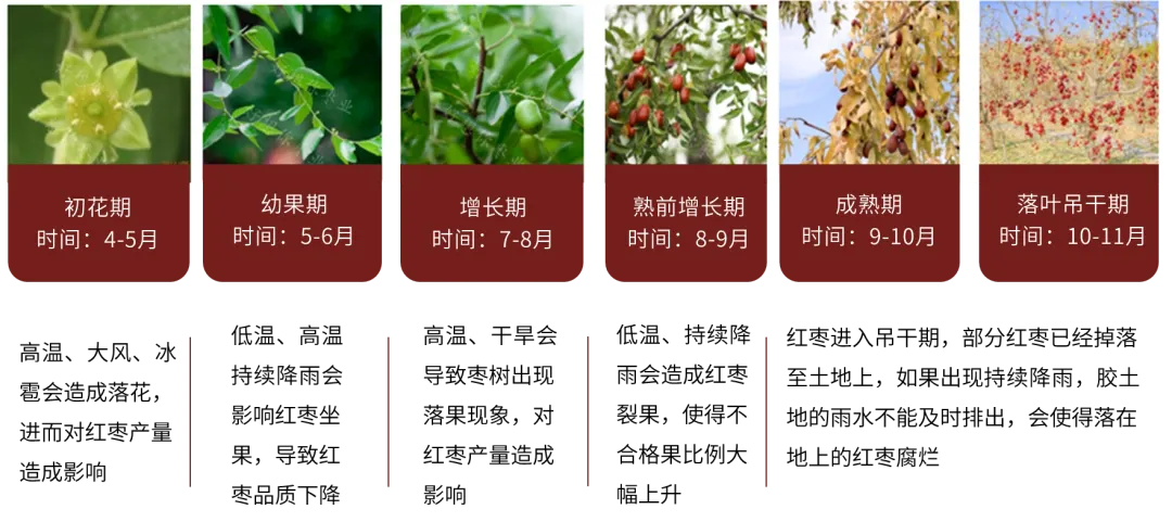 数据开端：郑商所，地面期货计议院