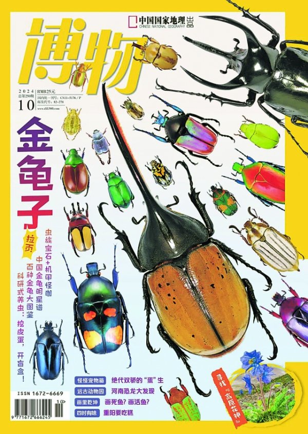 讲述金龟子的故事