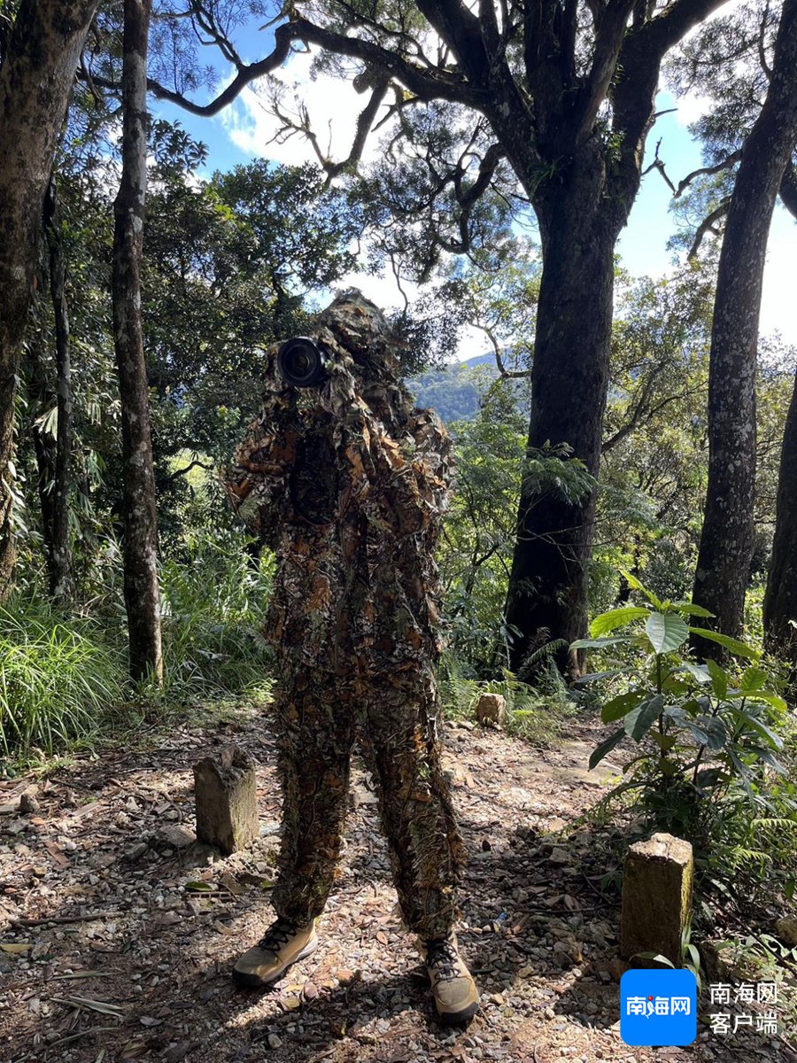 意大利摄影师fabio身穿"吉利服"体验丛林隐身术.