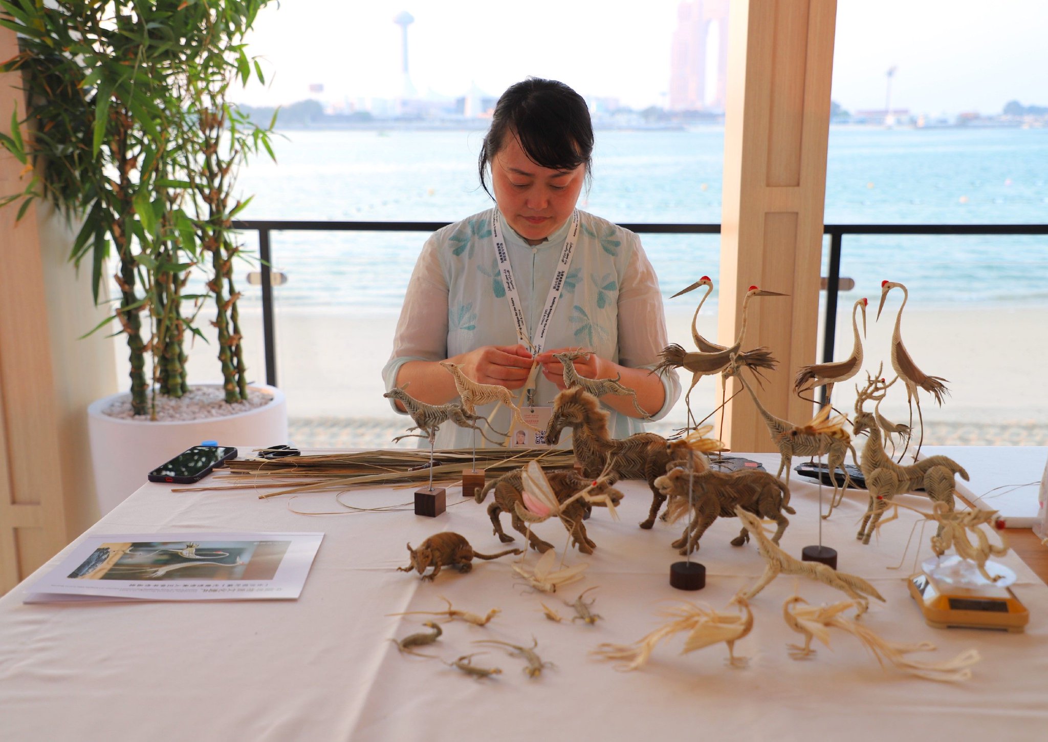 中阿建交40周年庆典活动在阿联酋举办