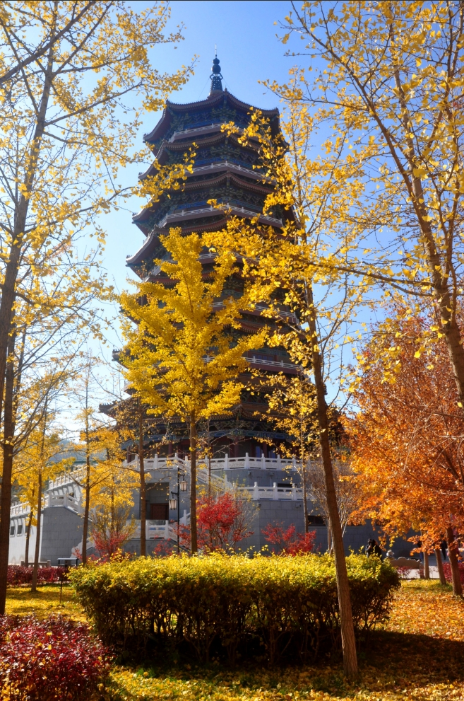 在兰州西固发现工业区的"生态宝藏"