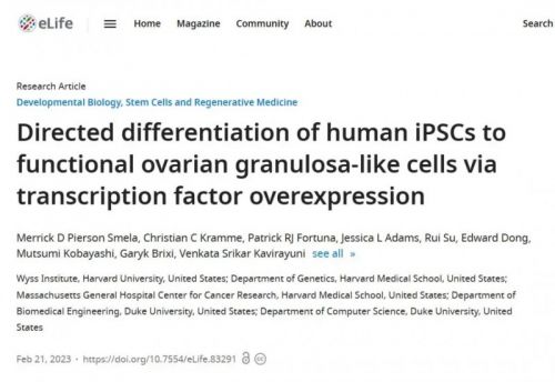 △ 通过转录因子过表达将人 iPSC 定向分化为功能性卵巢颗粒样细胞