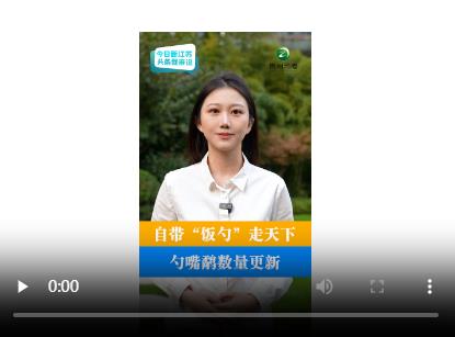 新浪财经头条(新浪财经头条号自媒体)
