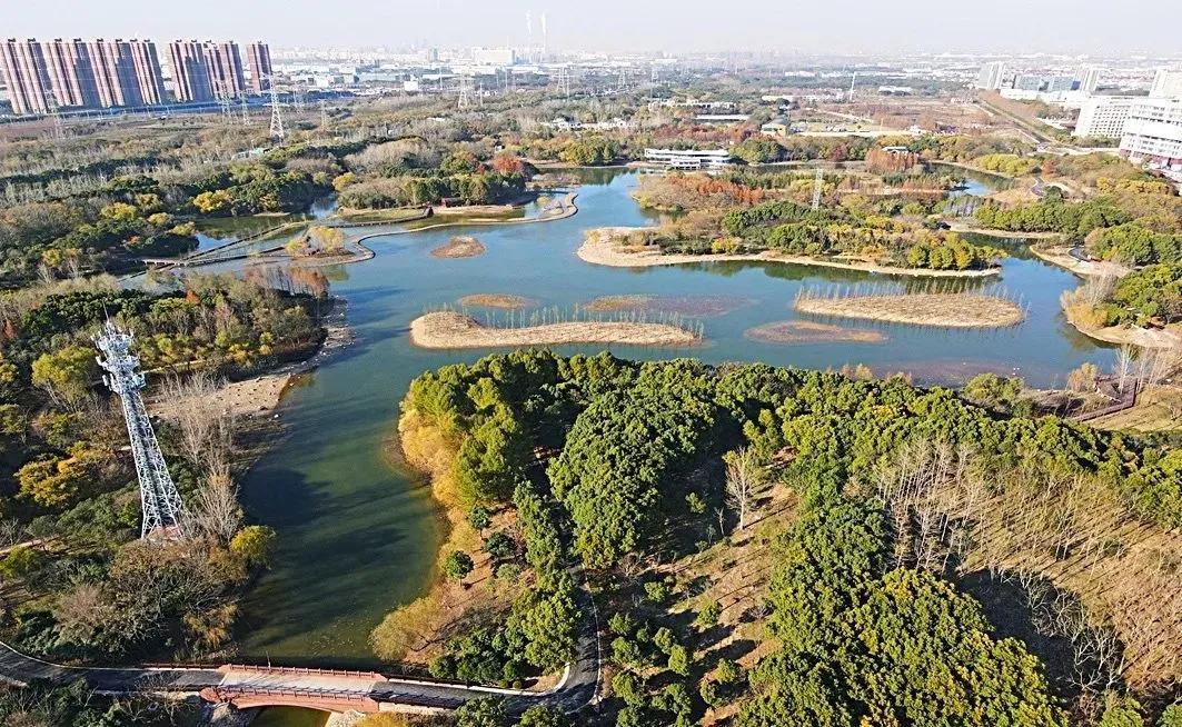 金海湿地公园实景图|图源网罗