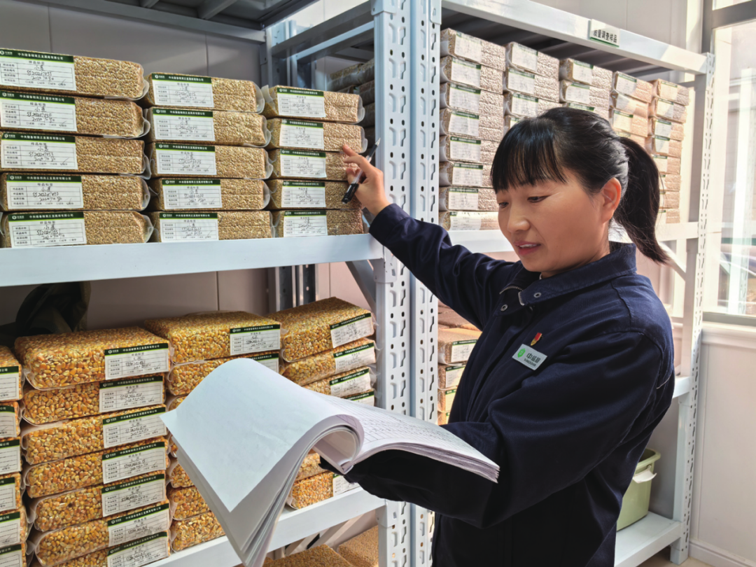 最美中储粮人尹屹莲用心守护每一粒粮