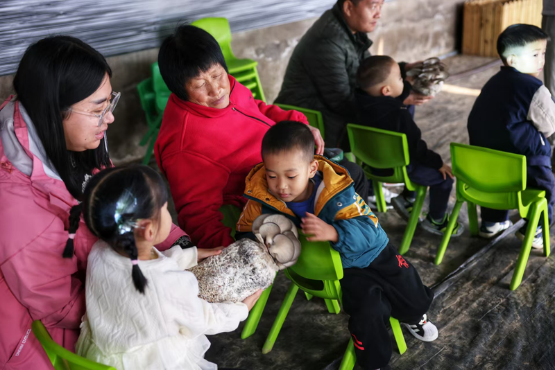 在杨震的研学课堂上，孩子们在观察认识食用菌。新京报记者 李木易 摄