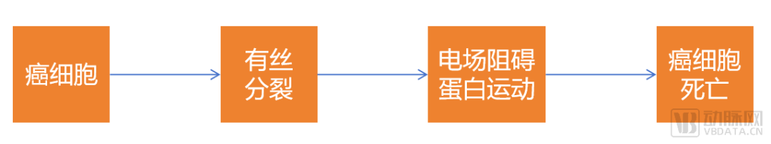 肿瘤电场治疗的主要作用原理